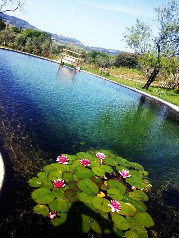 Appartement Agriturismo Il Poderino à Bibbona Extérieur photo